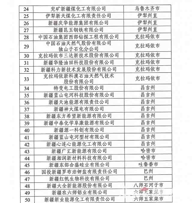 新疆第一屆工業(yè)企業(yè)研發(fā)50強(qiáng)詳細(xì)名單二